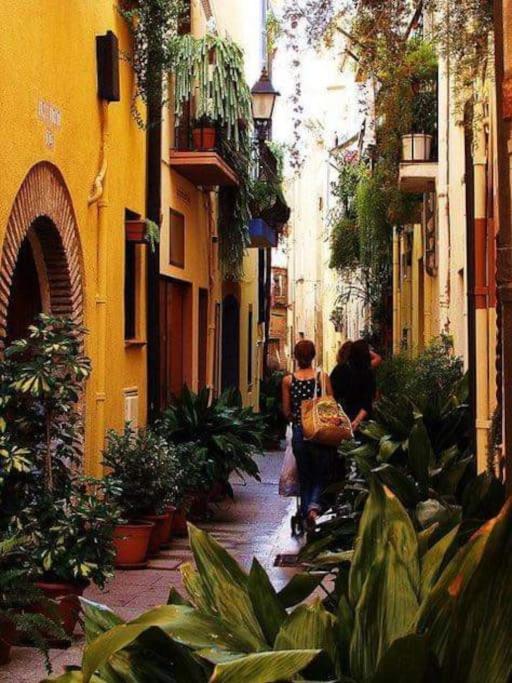 Apartamento De 3 Dormitorios كامبريلس المظهر الخارجي الصورة